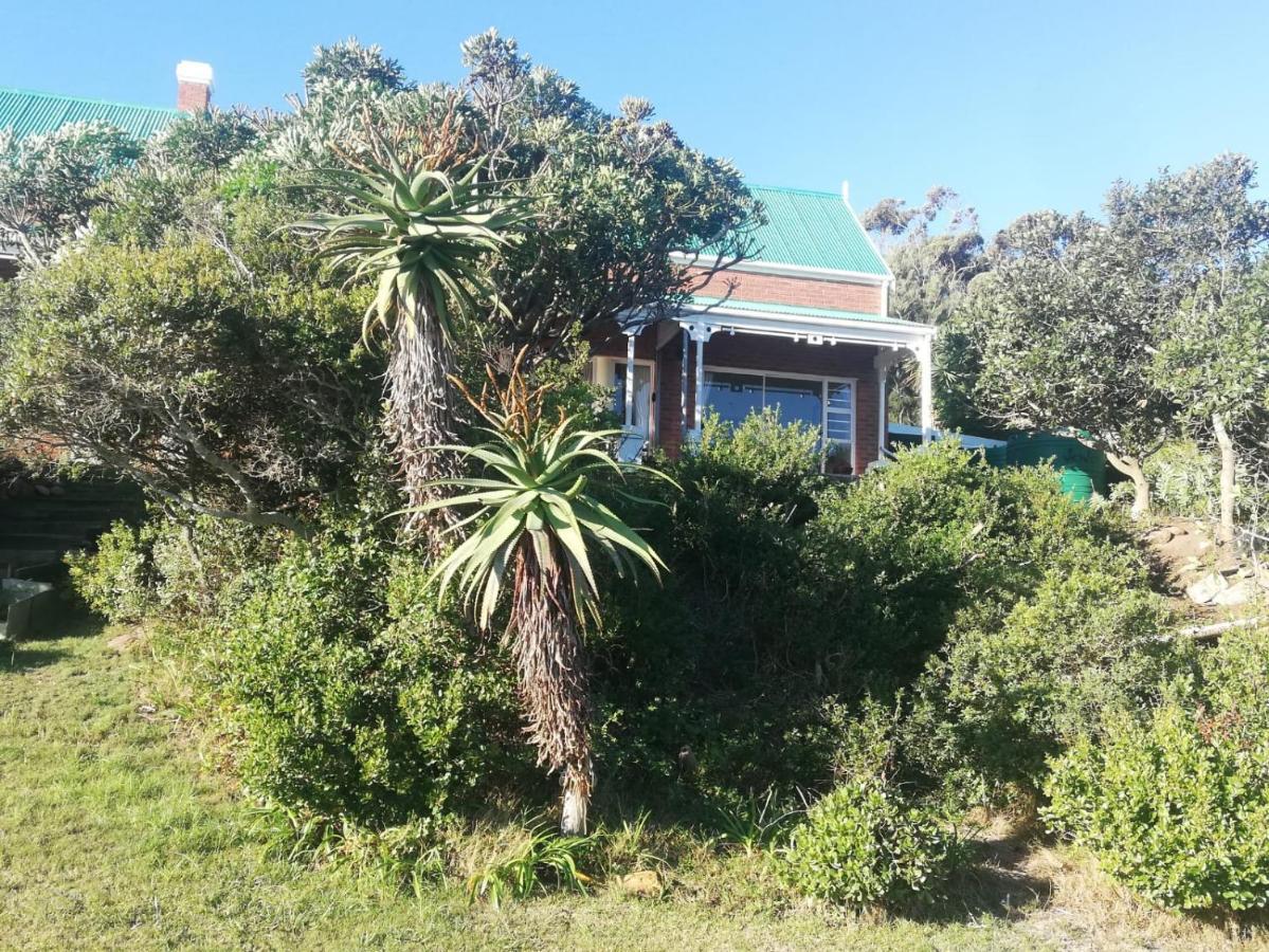 Oppikrom Rivertide 36 St Francis Bay Exteriér fotografie